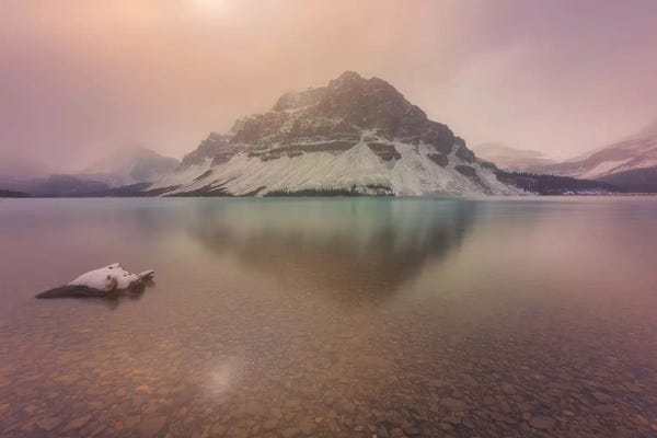 Sergio Lanza: Bow Magic by Sergio Lanza