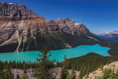 Bow Summit by Sergio Lanza art print