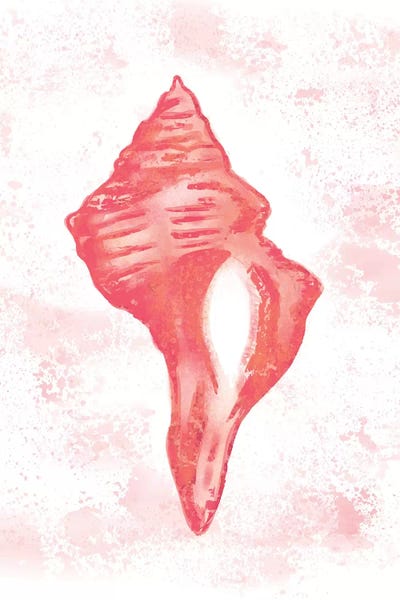 Louise Allen: Coral Blush I by Louise Allen