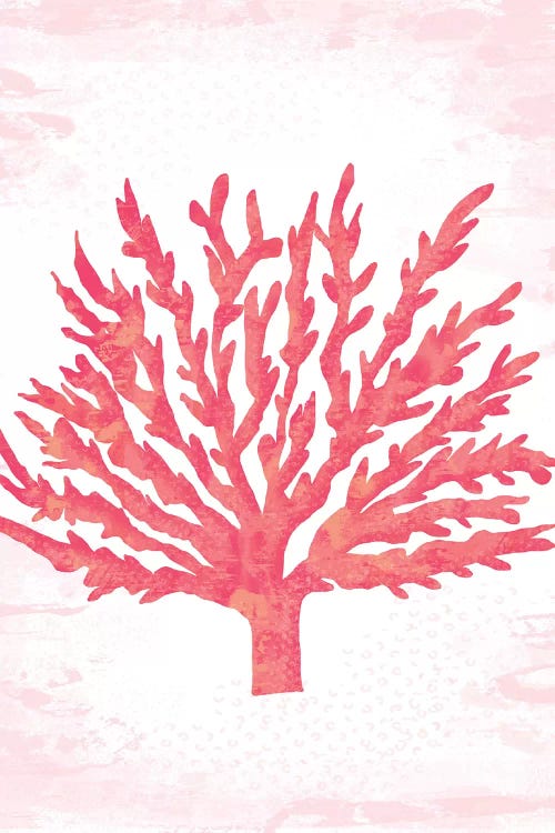 Coral Blush II by Louise Allen wall art