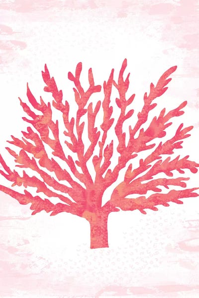 Coral: Coral Blush II by Louise Allen