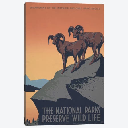 The National Parks Preserve Wild Life Canvas Print #LOC15} by Library of Congress Art Print
