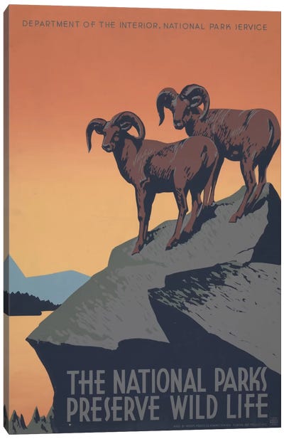 The National Parks Preserve Wild Life Canvas Art Print - Wildlife Conservation Art