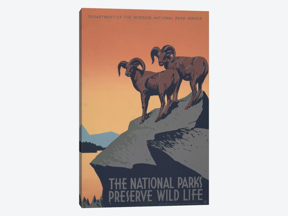 The National Parks Preserve Wild Life by Library of Congress 1-piece Art Print