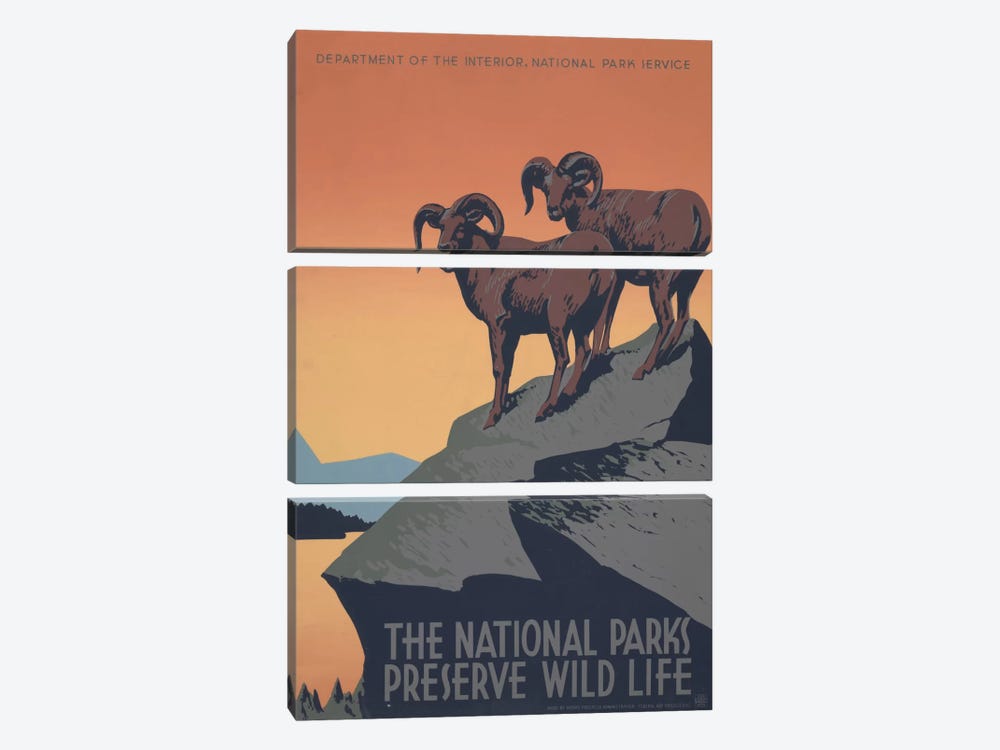 The National Parks Preserve Wild Life by Library of Congress 3-piece Canvas Print