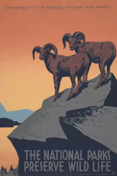 Environmental Conservation: The National Parks Preserve Wild Life by Library of Congress