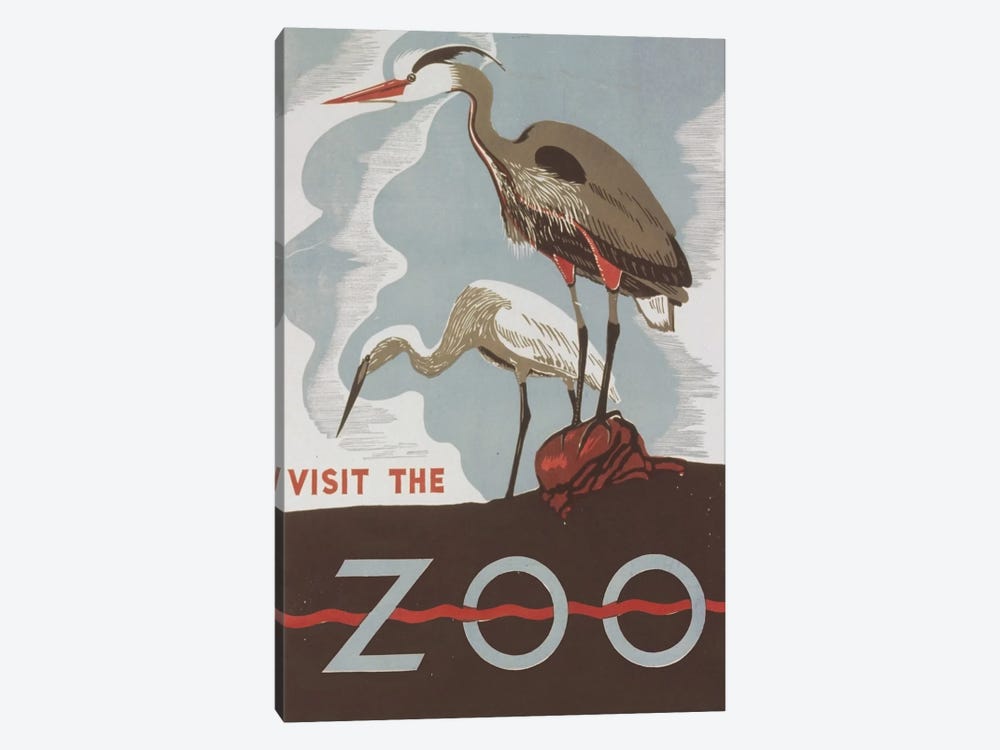 Visit The Zoo (Herons) by Library of Congress 1-piece Canvas Print
