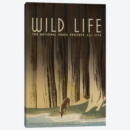 Wild Life Canvas Print #LOC29} by Library of Congress Canvas Art Print