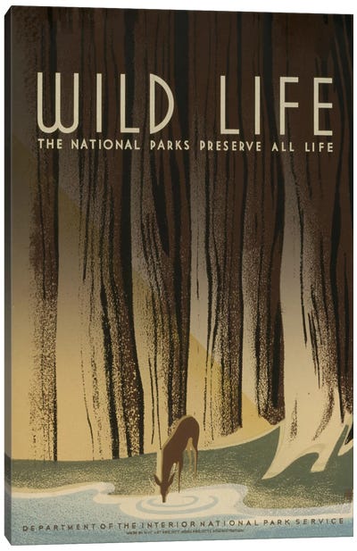 Wild Life Canvas Art Print - Library of Congress