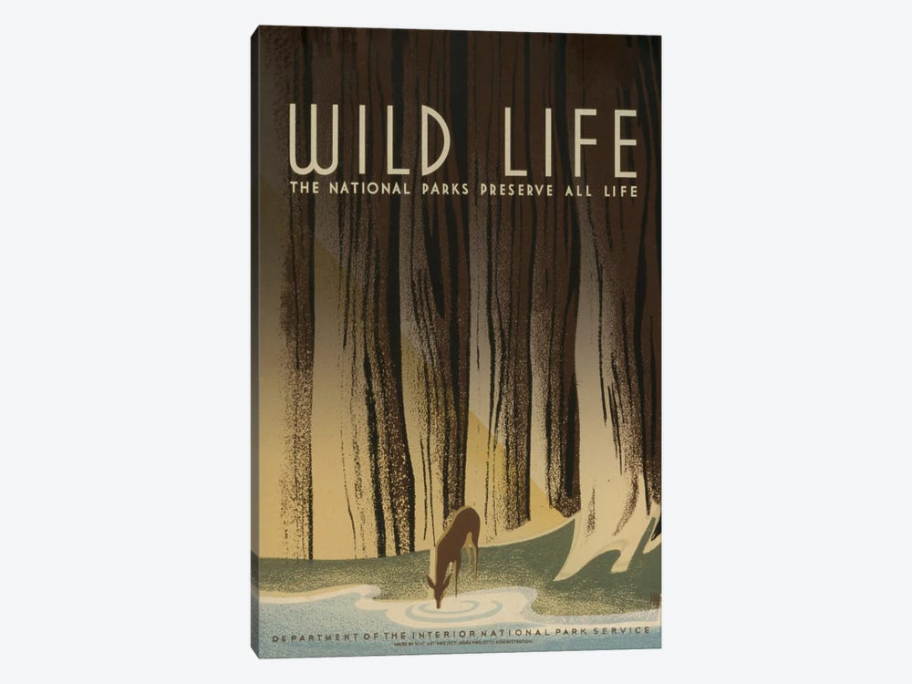 Wild Life by Library of Congress 1-piece Canvas Art