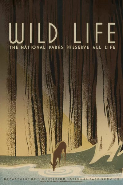 Environmental Conservation: Wild Life by Library of Congress