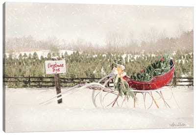 Red Sleigh at Tree Farm Canvas Art Print - Farmhouse Christmas Décor