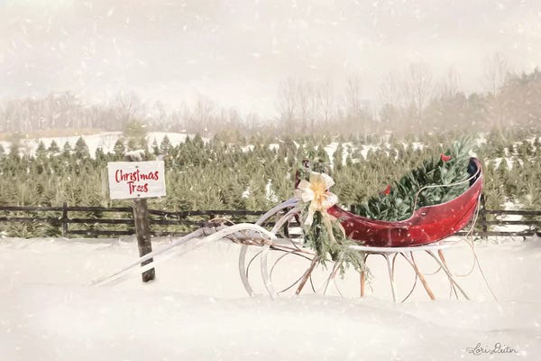 Large Photography - Canvas Prints: Red Sleigh at Tree Farm by Lori Deiter
