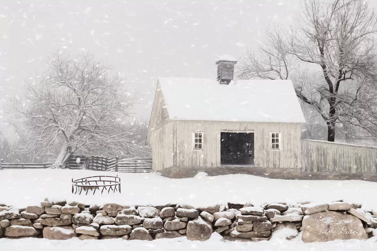 Virginia Snow Storm