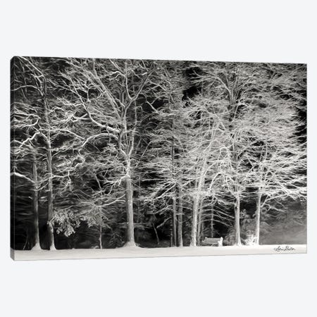 Snowy Trees Canvas Print #LOD161} by Lori Deiter Canvas Print