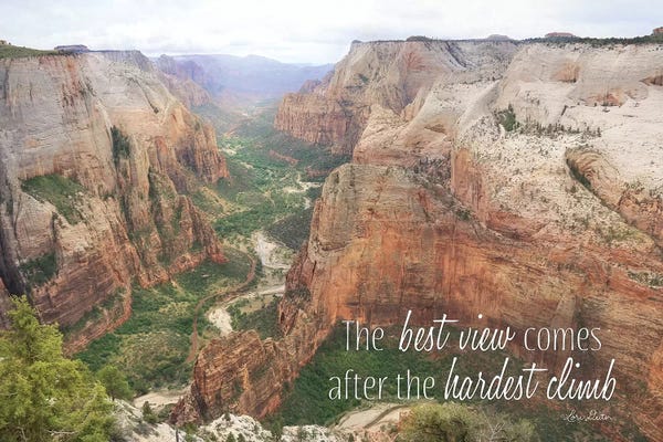 Exploration: The Best View by Lori Deiter