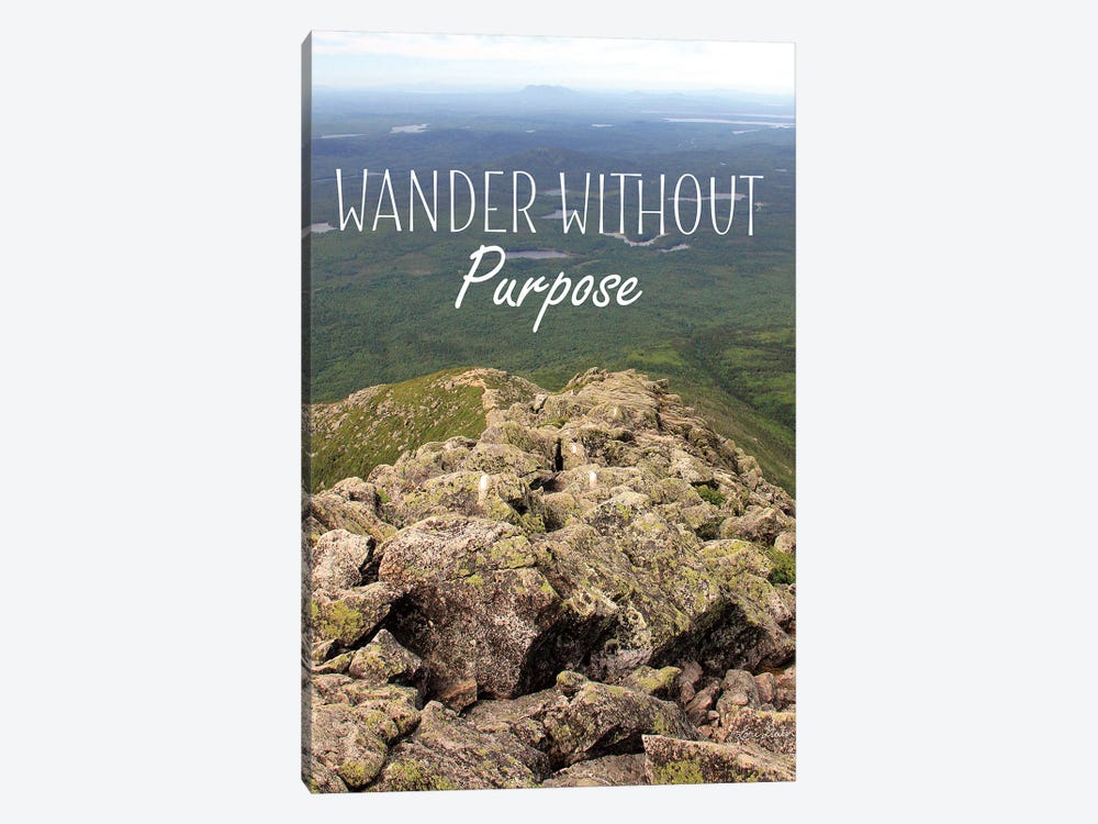 Wander Without Purpose 1-piece Canvas Print