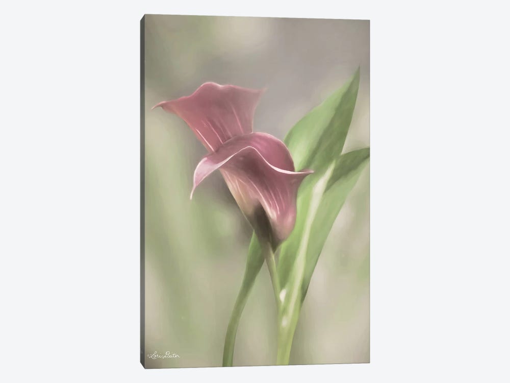 Pink Calla Lily by Lori Deiter 1-piece Canvas Art Print