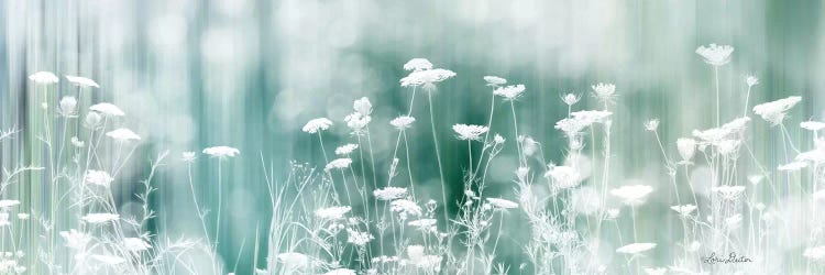 Dreamy Meadow by Lori Deiter wall art