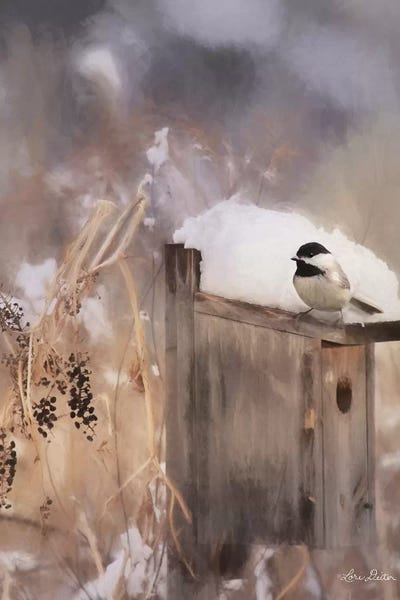 Three Weeks Til Spring by Lori Deiter canvas print