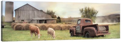 Tioga County Farmland Canvas Art Print - Barns