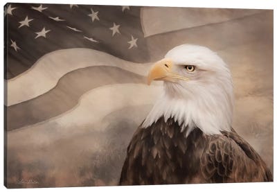 US Symbols Canvas Art Print - Eagle Art