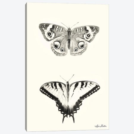 Butterflies Canvas Print #LOD213} by Lori Deiter Canvas Art Print