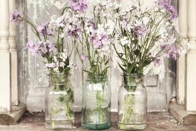 Roadside Beauties by Lori Deiter framed canvas print