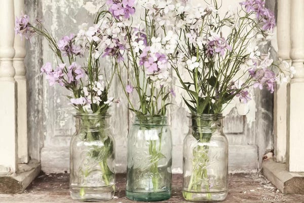 Lori Deiter: Roadside Beauties by Lori Deiter