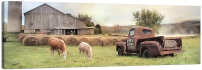 Tioga Country Farmland Canvas Art Print - Cow Art