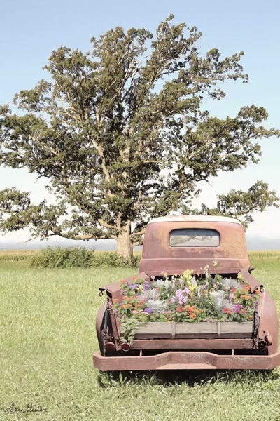 Field Of Dreams by Lori Deiter canvas print