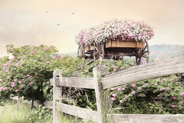 Floral Close-Ups: Flower Wagon by Lori Deiter