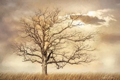 Golden Tree by Lori Deiter canvas print