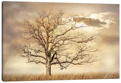 Golden Tree Canvas Art Print - Lori Deiter