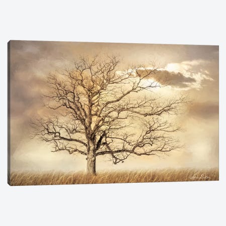 Golden Tree Canvas Print #LOD246} by Lori Deiter Canvas Print