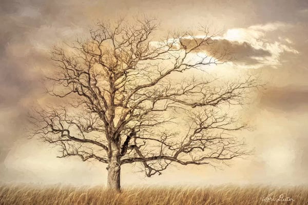 Lori Deiter: Golden Tree by Lori Deiter