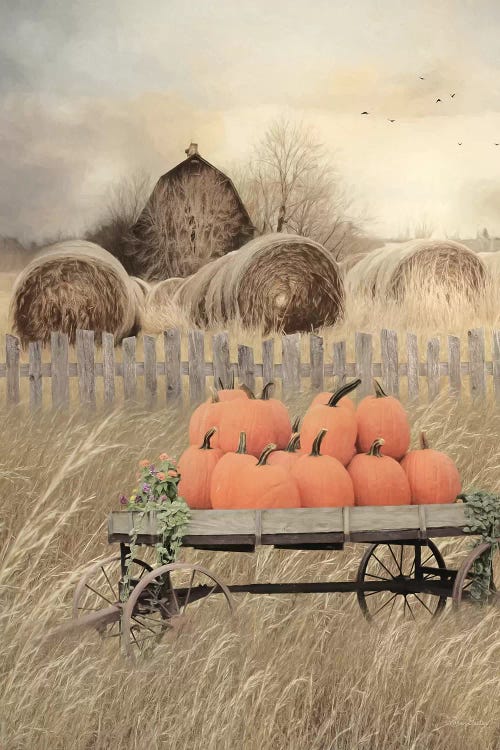 Pumpkin Harvest