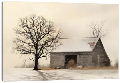 Winter Shadows Canvas Art Print - Farmhouse Christmas Décor