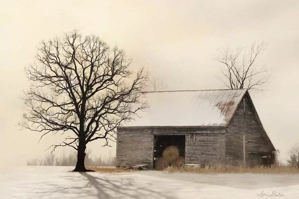 Lori Deiter: Winter Shadows by Lori Deiter