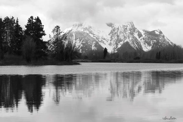 Snowy Mountains: Oxbow Bend by Lori Deiter