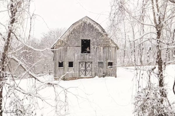 Farms: The New Tenant   by Lori Deiter