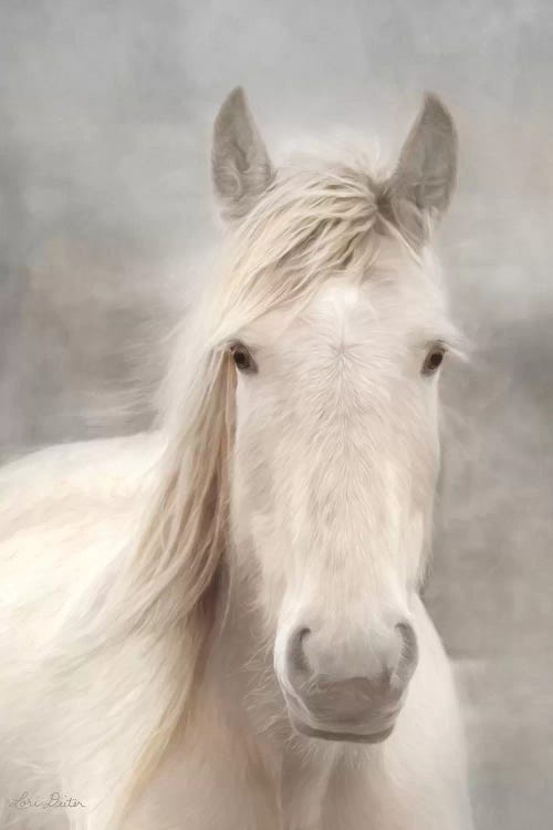 White Beauty I