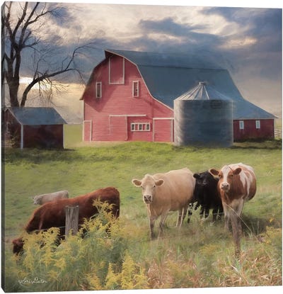 Wyoming Sunset      Canvas Art Print - Cow Art