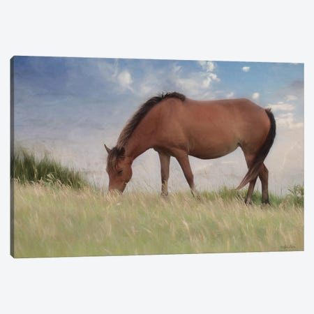 Assataegue Horse Canvas Print #LOD300} by Lori Deiter Art Print
