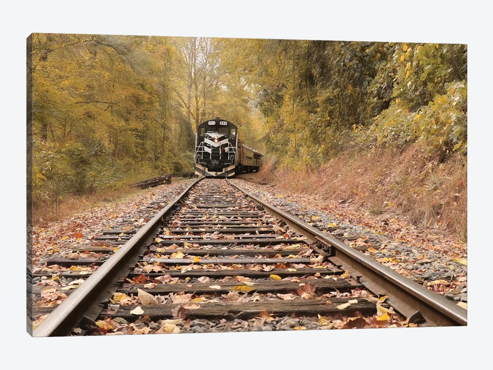 Great Smoky Mountains Railroad by Lori Deiter 1-piece Canvas Art Print