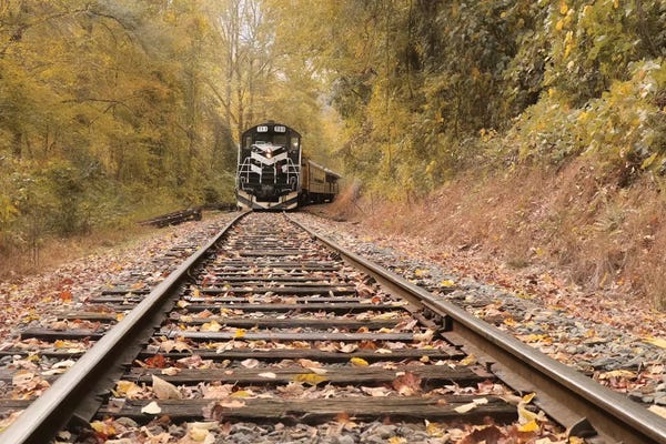 Lori Deiter: Great Smoky Mountains Railroad by Lori Deiter