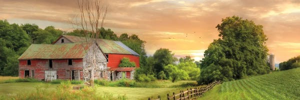 Lori Deiter: Greener Pastures by Lori Deiter