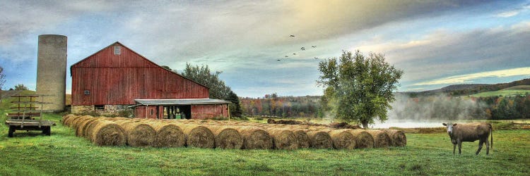 Hay Harvest