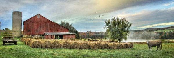 Barns: Hay Harvest by Lori Deiter