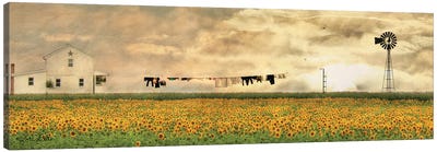 Laundry Day Canvas Art Print - Sunflower Art